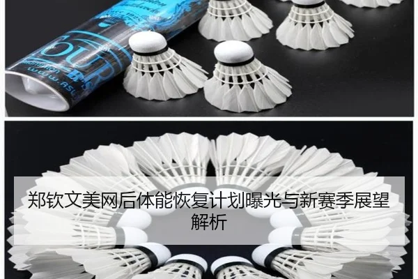 郑钦文美网后体能恢复计划曝光与新赛季展望解析